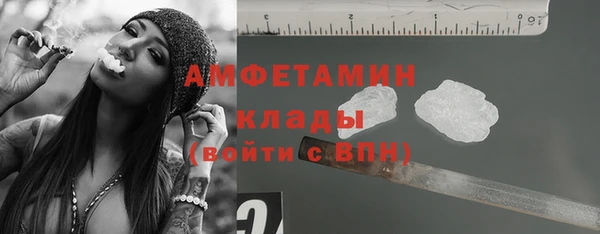 крисы Бронницы