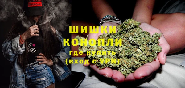 крисы Бронницы