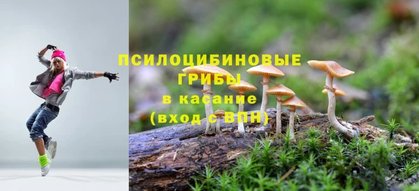 синтетический гашиш Бородино