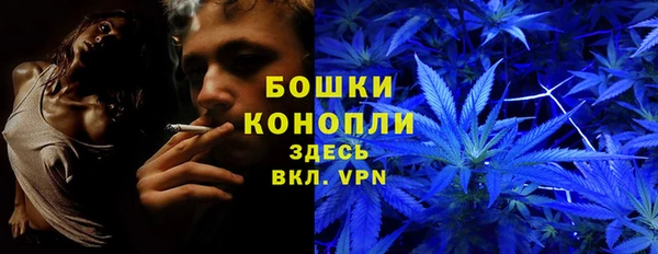 крисы Бронницы