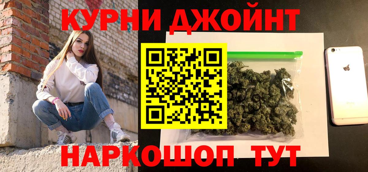 Канабис конопля Гай